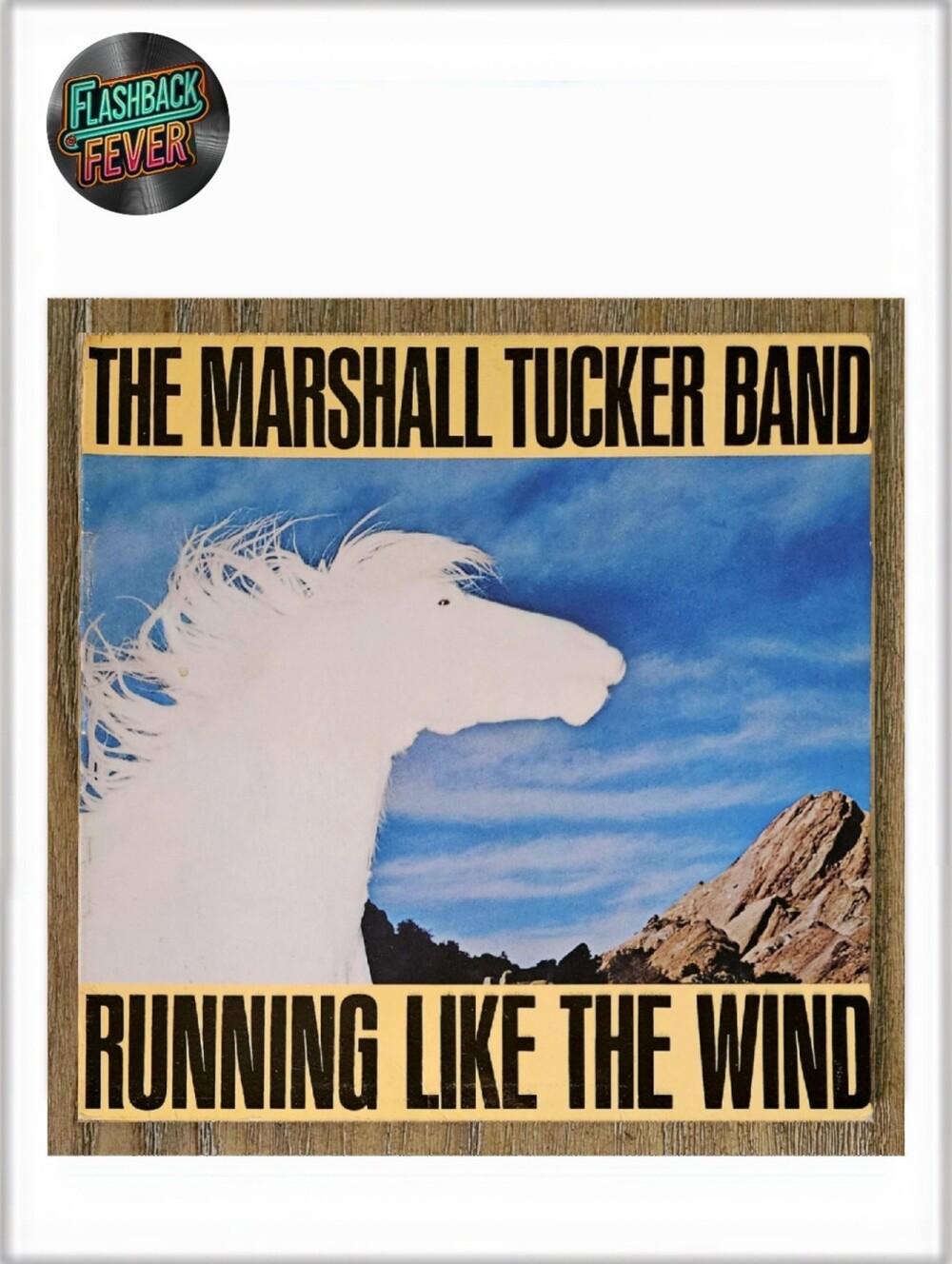 THE MARSHALL TUCKER BAND•Running Like The Wind•1979 US (#BSK 3317) Jacksonville